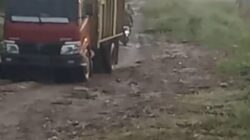 Diminta Keseriusan Polda Riau Dan Gakkum LHK Untuk Tangkap Bos Dan Pemodal Pembalakan Liar Di Kerumutan Serta Teluk Meranti