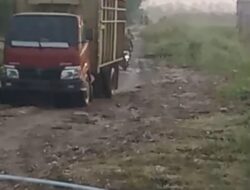 Diminta Keseriusan Polda Riau Dan Gakkum LHK Untuk Tangkap Bos Dan Pemodal Pembalakan Liar Di Kerumutan Serta Teluk Meranti