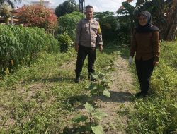 Dorong Kemandirian Pangan Perkotaan, Polsek Limapuluh Dampingi Petani Sayur di Jalan Hang Lekir