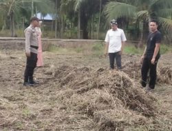 Bhabinkamtibmas Batang Tuaka Dorong Petani Manfaatkan Lahan Tidur, Wujud Nyata Dukung Program Asta Cita Ketahanan Pangan Nasional