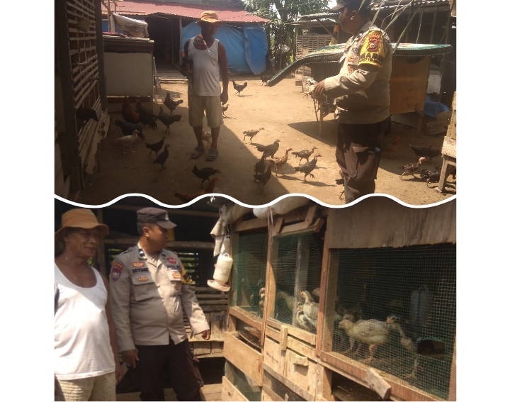 Kapolsek Batang Tuaka Iptu Andrianto Perkuat Program Swasembada Pangan, Bhabinkamtibmas Turun Langsung Dampingi Peternak Ayam