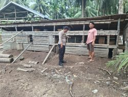 Kapolsek Batang Tuaka Perkuat Program Asta Cita, Bhabinkamtibmas Dampingi Warga Kembangkan Peternakan Demi Ketahanan Pangan Nasional